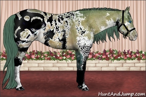 Horse Color:ERROR: UNKNOWN ANOMALY