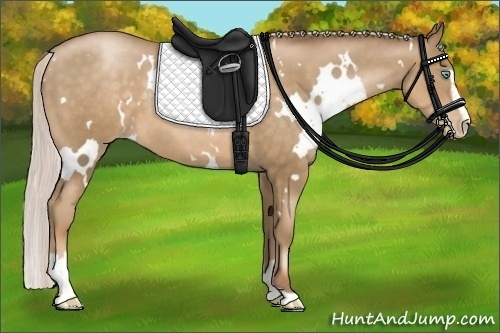 Horse Color:White Spotted Silver Smoky Black Pearl Sabino 