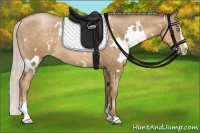 Horse Color:White Spotted Silver Smoky Black Pearl Sabino 