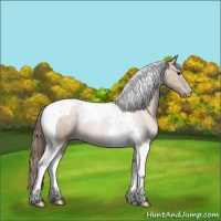 Horse Color:Black Pearl Tobiano Rabicano 