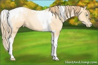 Horse Color:Smoky Black Pearl Tobiano 