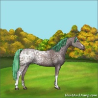 Horse Color:Painted Chocolate Silver Black Chinchilla Ice 