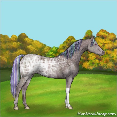 Horse Color:Painted Chocolate Silver Black Chinchilla Ice 