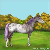 Horse Color:Painted Chocolate Silver Black Chinchilla Ice 