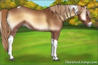 Horse Color:Red Onyx Sabino Tobiano 