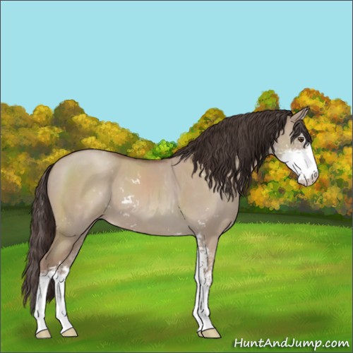 Horse Color:Classic Champagne Dun Sabino