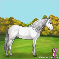 Horse Color:Gray Brown Dun Sabino