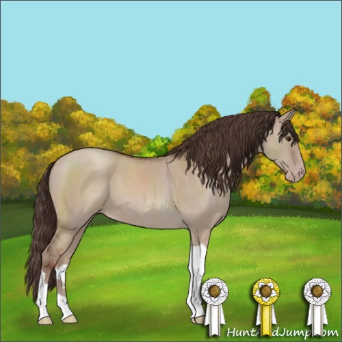 Horse Color:Classic Champagne Dun Tobiano