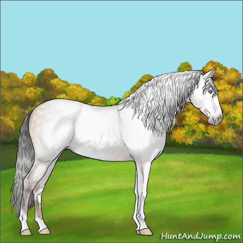 Horse Color:Gray Sable Champagne Dun Sabino Tobiano 