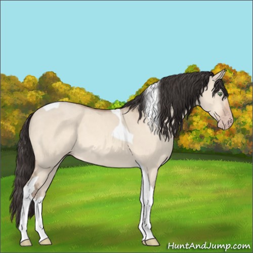 Horse Color:Sable Champagne Dun Tobiano 
