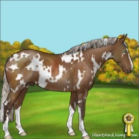 Horse Color:White Spotted Silver Buckskin Mushroom Sabino 