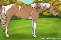Horse Color:Chestnut Tobiano 