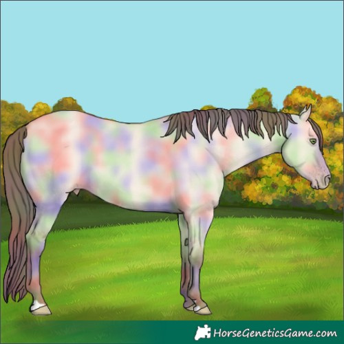 Horse Color:Nacre Amber Champagne Dun 