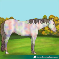 Horse Color:Nacre Amber Champagne Dun 