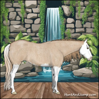 Horse Color:Red Dun Roan Splash 