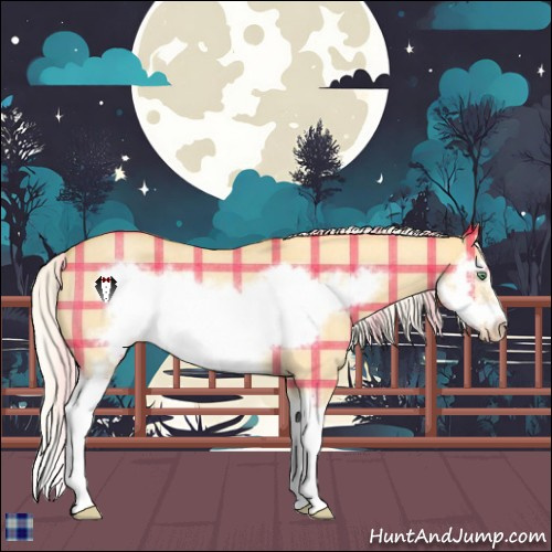 Horse Color:Plaid  Silver Amber Cream Champagne Roan Dun Splash Frame Rabicano 