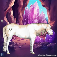 Horse Color:Plaid  Gold Champagne Roan Sabino Splash Frame 