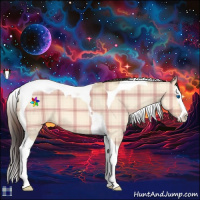 Horse Color:Plaid Amber Champagne Dun Splash Tobiano