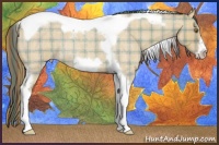 Horse Color:Plaid  Classic Cream Champagne Roan Tobiano Frame Rabicano 