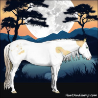 Horse Color:Plaid  Amber Cream Champagne Dun Splash Tobiano Rabicano 