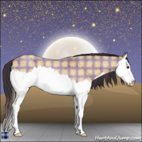 Horse Color:Plaid  Buckskin Roan Dun Splash 