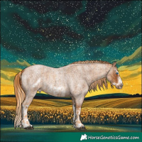 Horse Color:Red Roan Splash Frame  and Gray Red Roan Splash Frame 