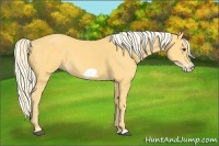 Horse Color:Palomino Frame 