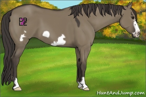 Horse Color:Smoky Grullo Frame 