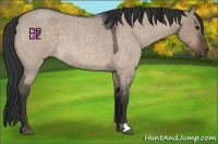 Horse Color:Brown Roan Dun 