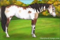 Horse Color:Bay Onyx Frame 