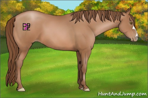 Horse Color:Brown Pearl