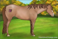 Horse Color:Brown Pearl 