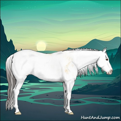 Horse Color:Buckskin Dun Sabino Splash 