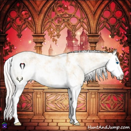 Horse Color:Silver Sable Champagne Dun Sabino Splash