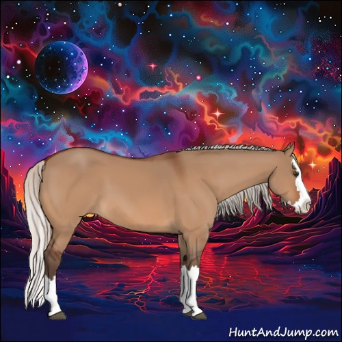 Horse Color:Silver Brown Dun Sabino Splash 