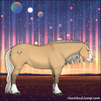 Horse Color:Silver Buckskin Dun Sabino Splash 