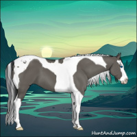 Horse Color:Grullo Sabino Splash Tobiano 