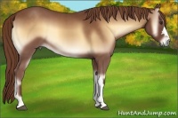Horse Color:Red Onyx 