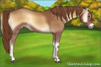 Horse Color:Red Onyx 