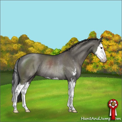 Horse Color:Grullo Sabino Splash Rabicano 