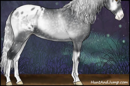 Horse Color:Silver Blue Onyx Chinchilla Appaloosa