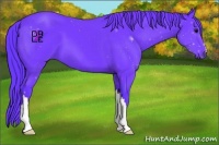 Horse Color:Watercolor Black 