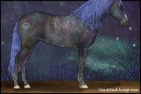 Horse Color:Watercolor Midnight Red Onyx Ice 