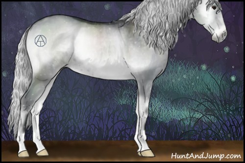 Horse Color:Silver Blue Onyx Chinchilla Rabicano