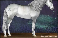 Horse Color:Silver Blue Onyx Chinchilla Rabicano 
