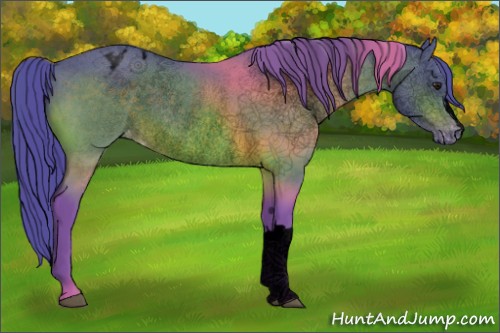 Horse Color:Void Watercolor Brown Varnish Rabicano 