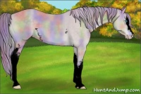 Horse Color:Void Nacre Watercolor White Spotted Perlino 