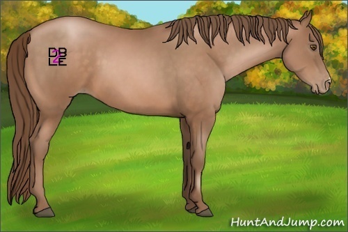 Horse Color:Brown Pearl 