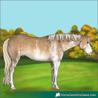 Horse Color:White Spotted Chocolate Palomino Mushroom Rabicano
