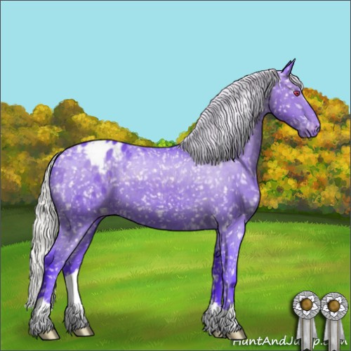 Horse Color:Watercolor Silver Black Chinchilla Appaloosa 